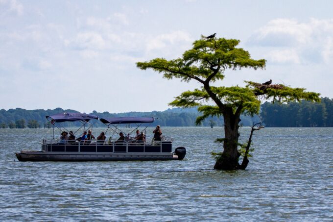 Pontoon Boat