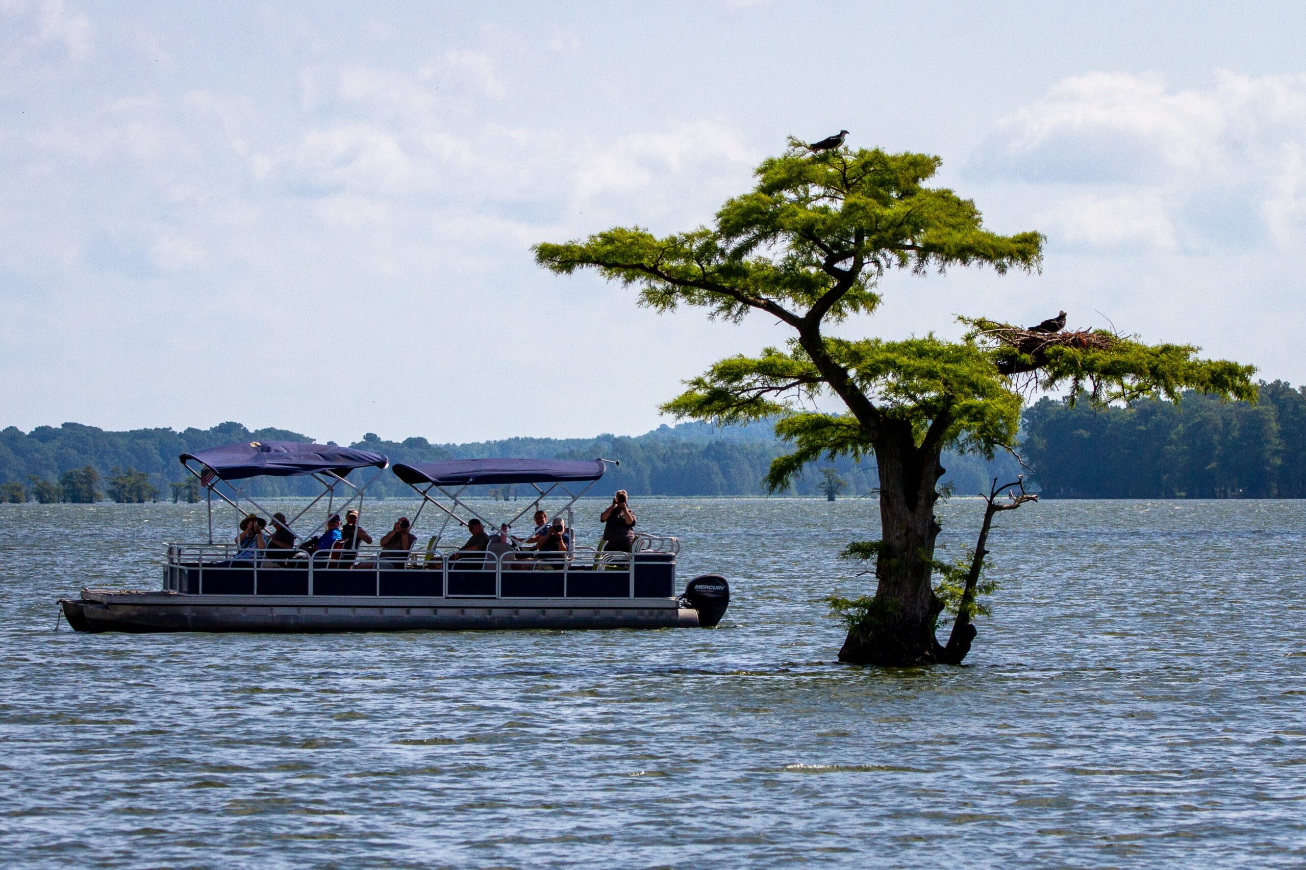 Pontoon Boat