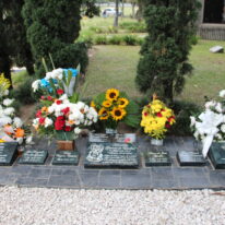 Pablo Escobar Tour - Image 6