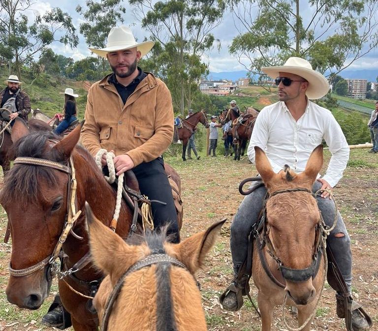 Horseback Riding